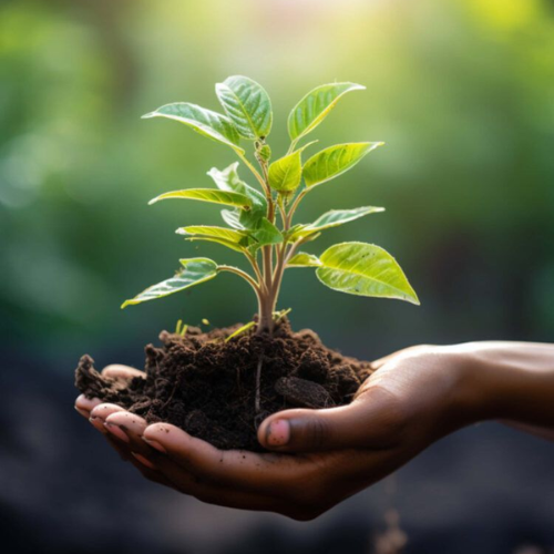 Home black personal name initials typography logo design (2)