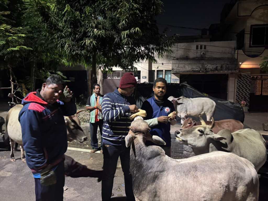 WhatsApp Image 2025 11 21 At 4.33.37 PM 1 1024x768